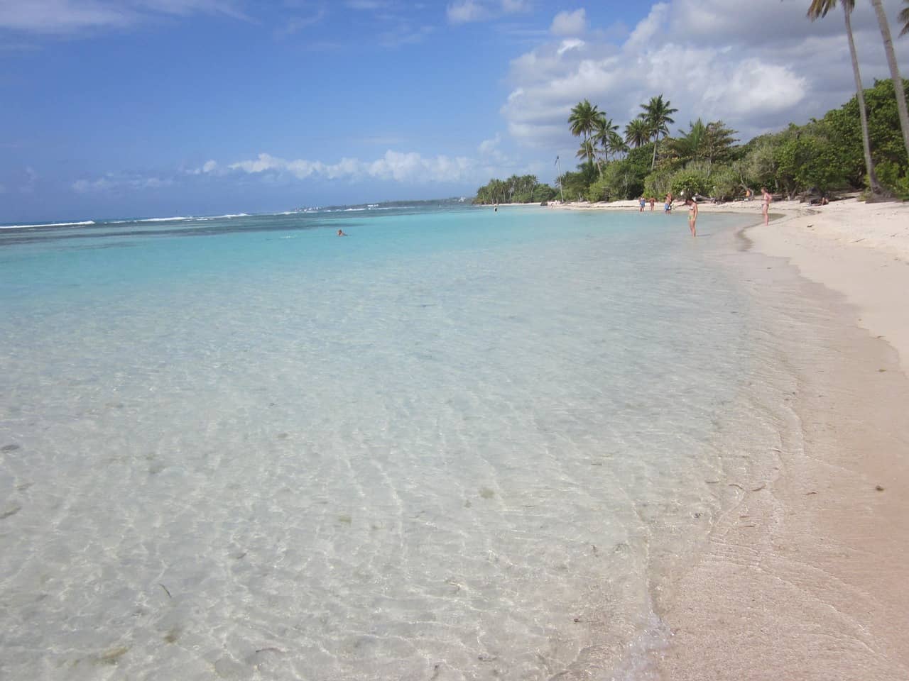 Une plage de sable fin et ses palmiers en Guadeloupe