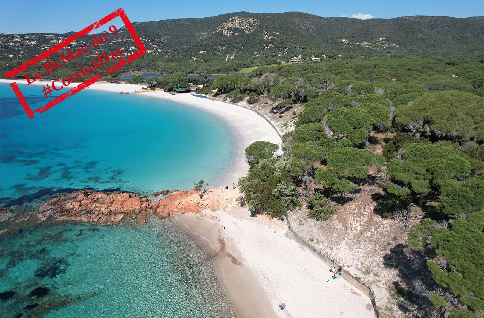 Plage de Palombaggia Corse du Sud (Crédit : Apignata.com)