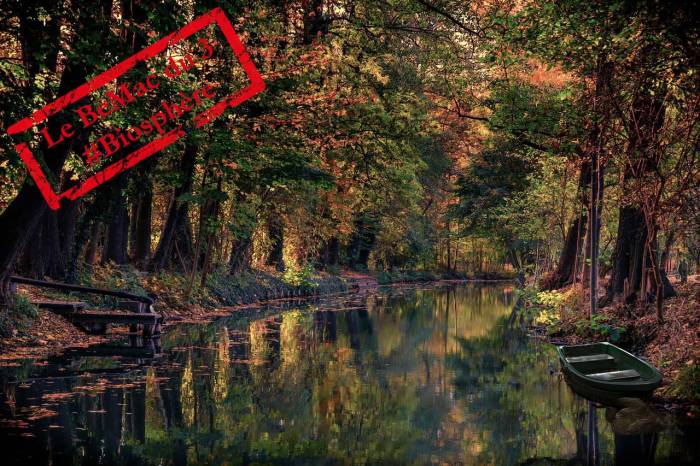 La rivière Sprée près de Spreewald au sud-est de Berlin