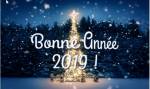 Voeux PPS MMS SMS Bonne année 2019