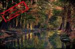 La rivière Sprée près de Spreewald au sud-est de Berlin